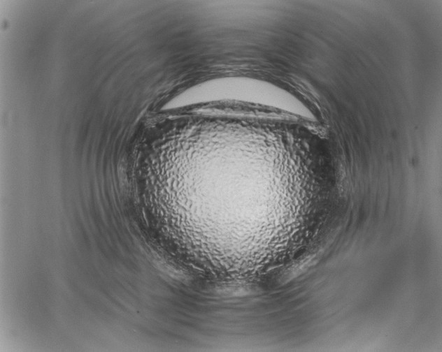 X0000062650377200601040924