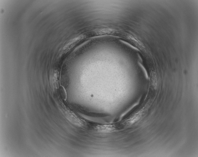 X0000062650378200601040924