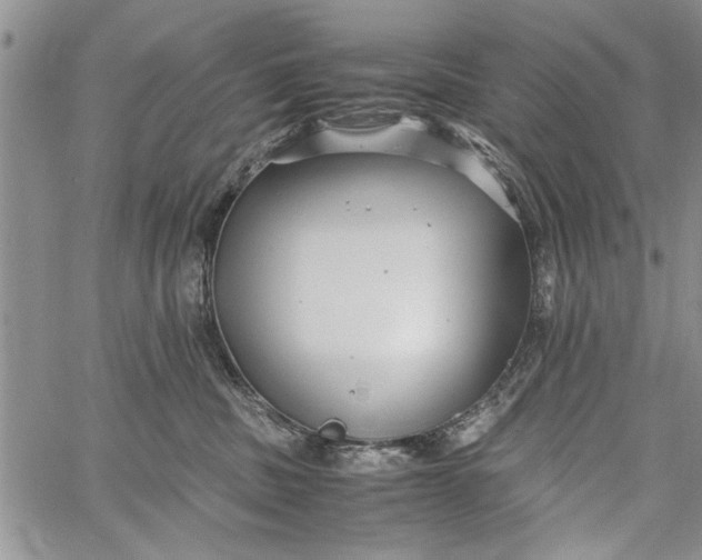 X0000062650379200601040924