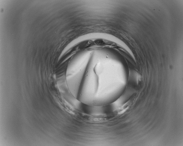 X0000062650380200601040924