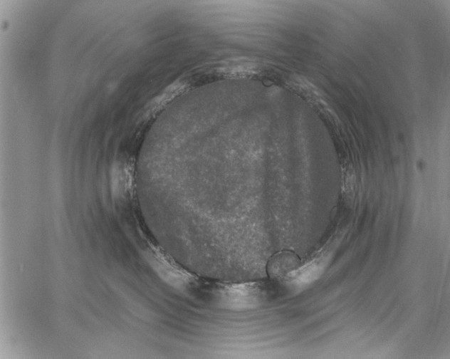 X0000062650382200601040924