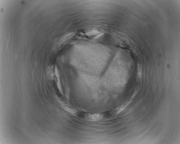 X0000062650383200601040924