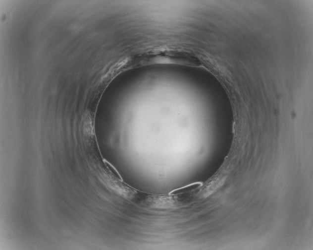 X0000062650384200601040924