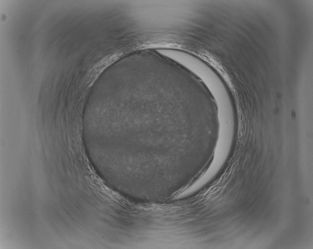 X0000062650385200601040923