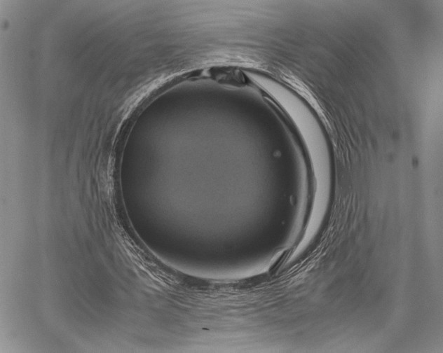 X0000062650387200601040923