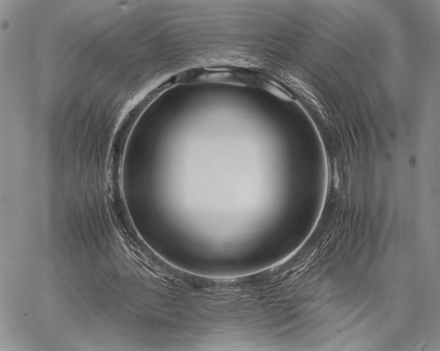 X0000062650388200601040923