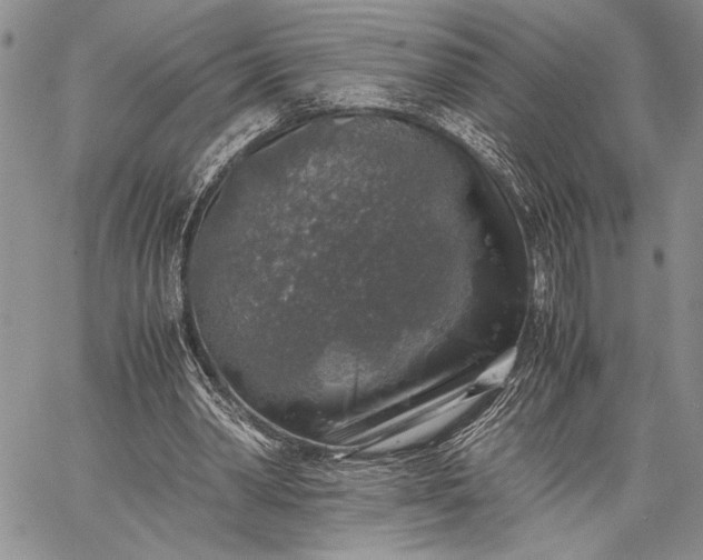 X0000062650390200601040923