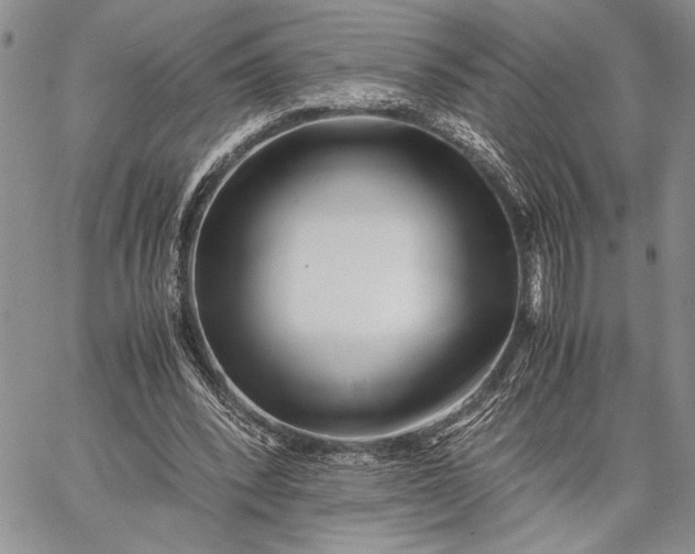 X0000062650392200601040923