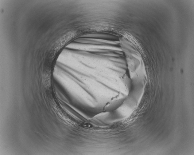 X0000062650393200601040923