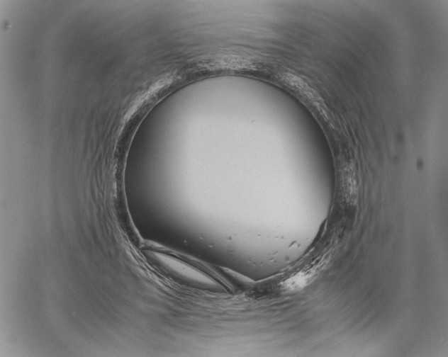 X0000062650395200601040923