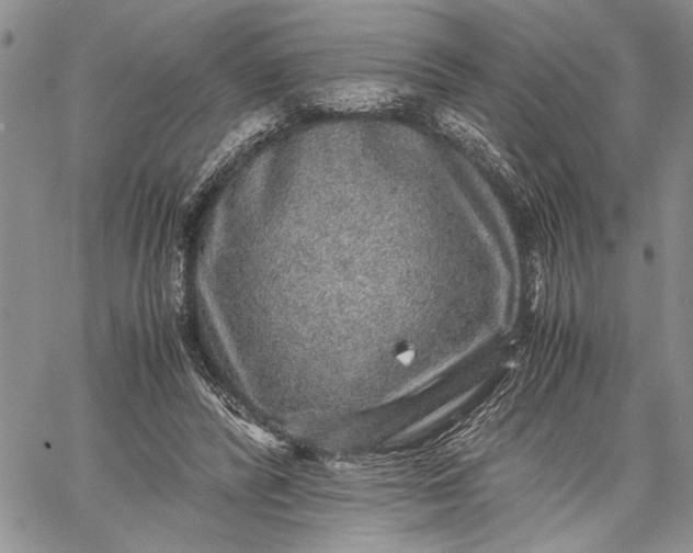 X0000062650400200601040923