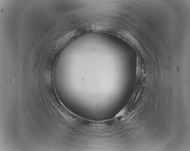 X0000062650401200601040923