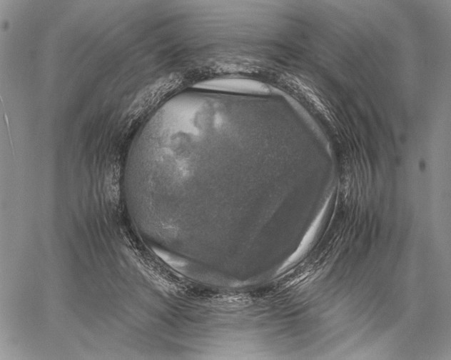 X0000062650402200601040923