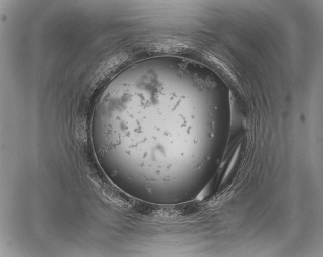 X0000062650403200601040923