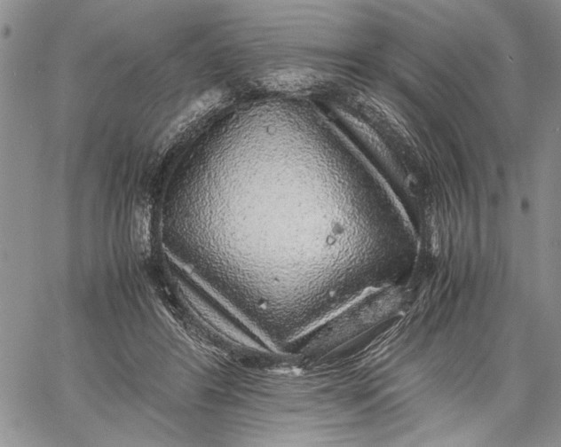 X0000062650404200601040923