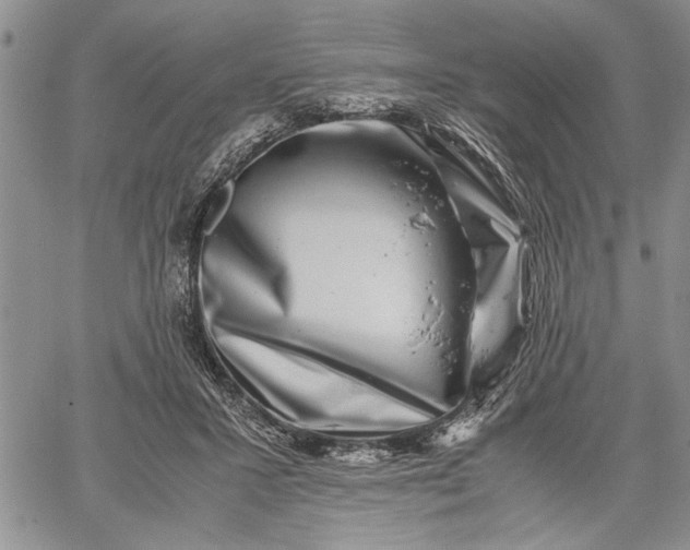 X0000062650407200601040923