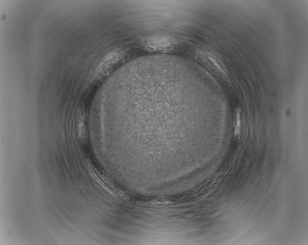 X0000062650408200601040923