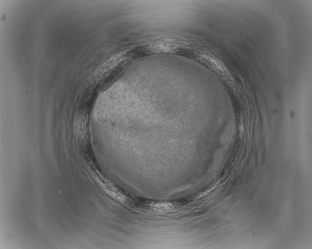 X0000062650409200601040923