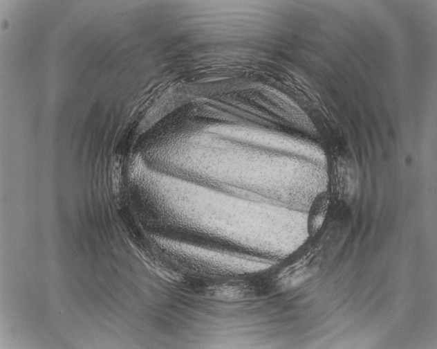 X0000062650412200601040923