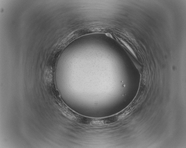 X0000062650413200601040923