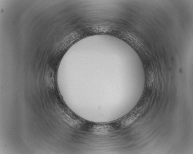 X0000062650414200601040923