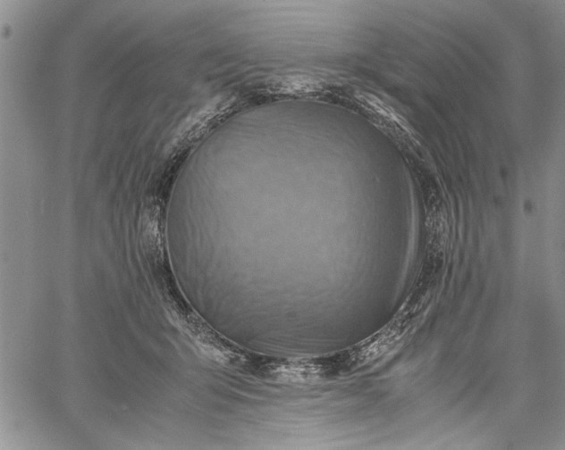 X0000062650415200601040923