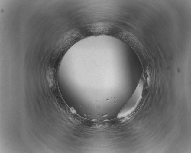 X0000062650416200601040923