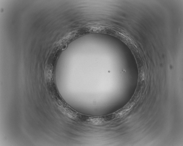 X0000062650417200601040923