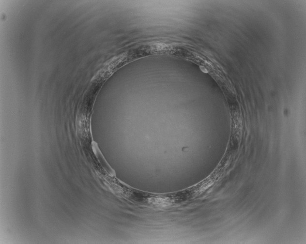 X0000062650419200601040923