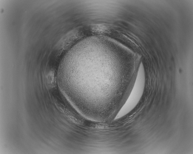 X0000062650420200601040923