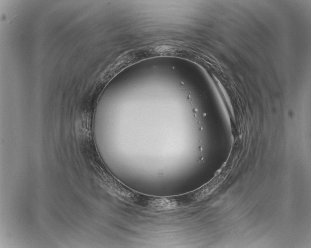 X0000062650421200601040923