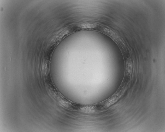 X0000062650422200601040923