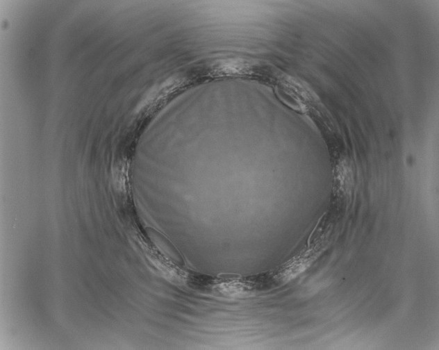 X0000062650423200601040923