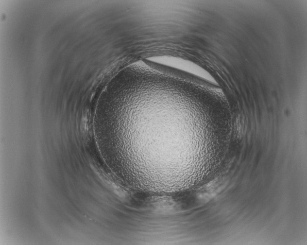 X0000062650424200601040923