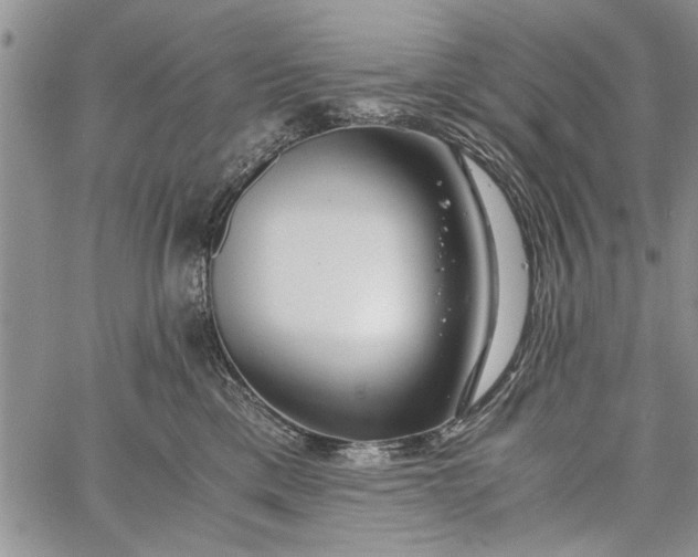 X0000062650425200601040923