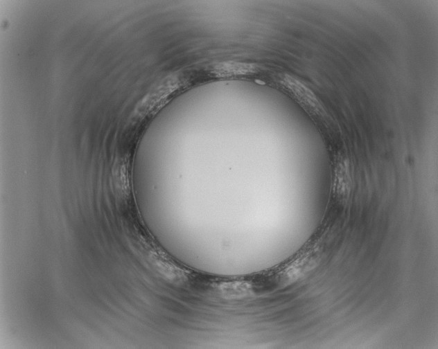 X0000062650426200601040923