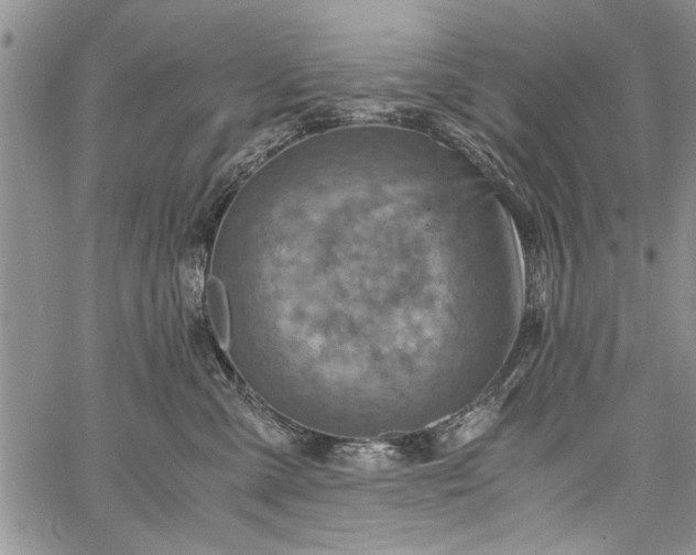 X0000062650427200601040923