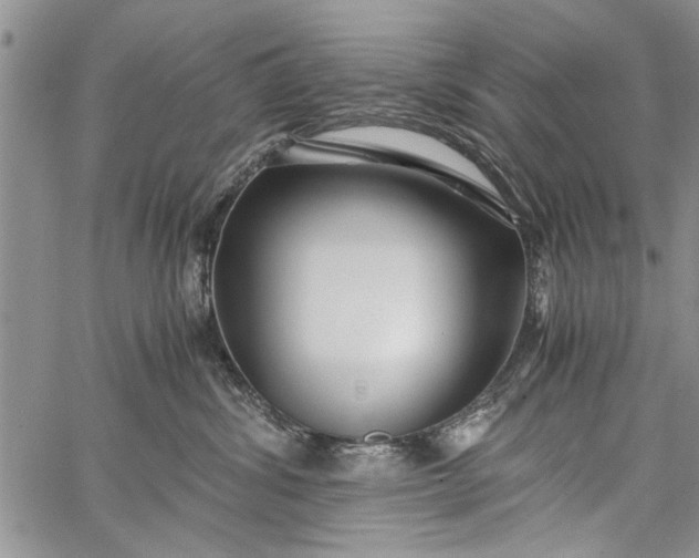 X0000062650428200601040923