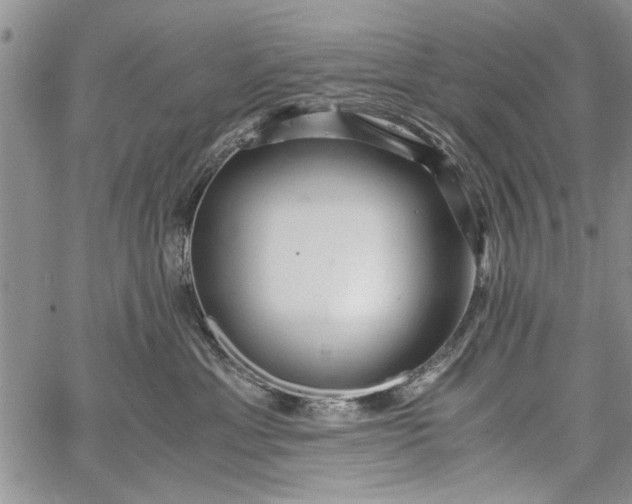 X0000062650429200601040923