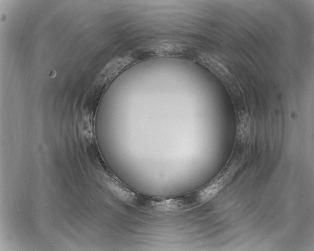 X0000062650430200601040923