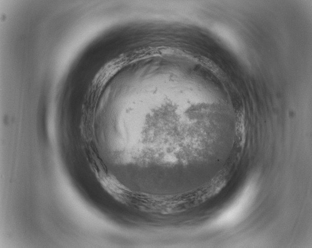 X0000062650431200601040923