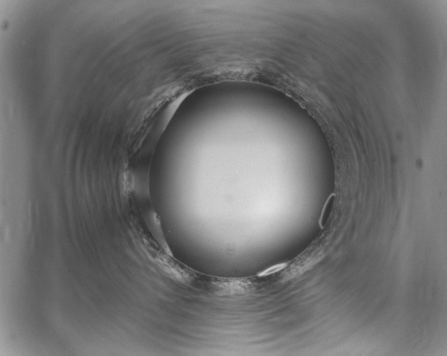 X0000062650432200601040923