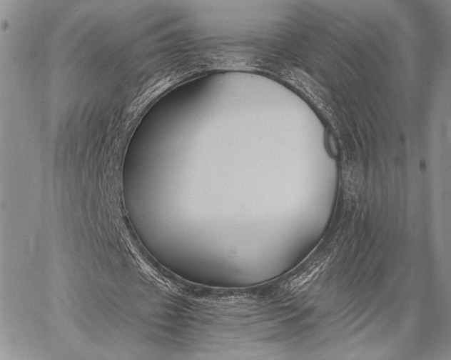 X0000062650433200601040922