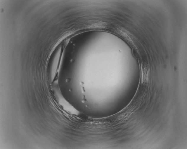 X0000062650435200601040922