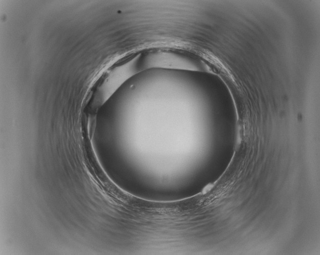 X0000062650436200601040922