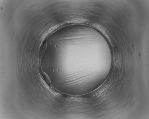 X0000062650437200601040922