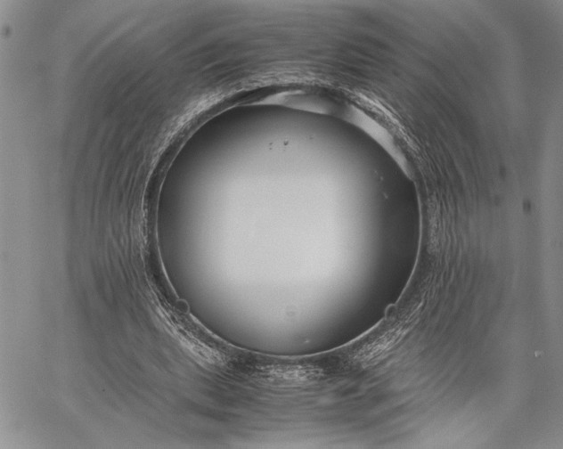 X0000062650439200601040922