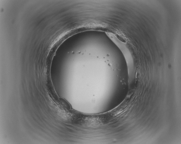 X0000062650440200601040922