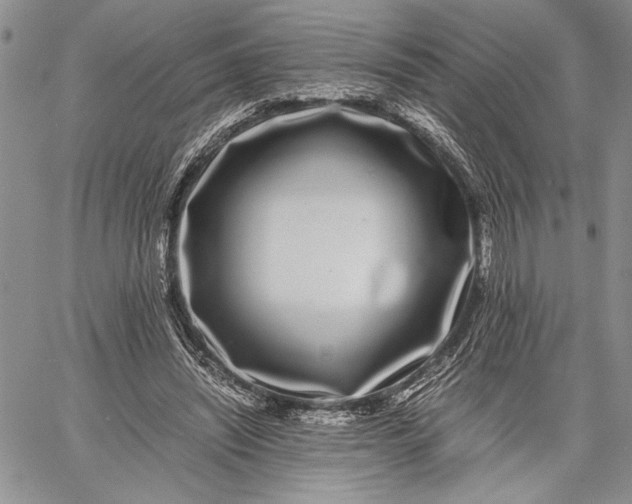 X0000062650444200601040922