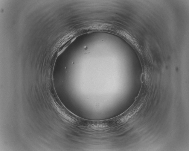 X0000062650445200601040922